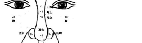 鼻運 年齡|麥玲玲面相講座捌